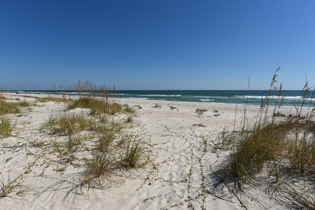 St. George Island, Florida, 32328, United States, 4 Bedrooms Bedrooms, ,3 BathroomsBathrooms,Residential,Active,2013131