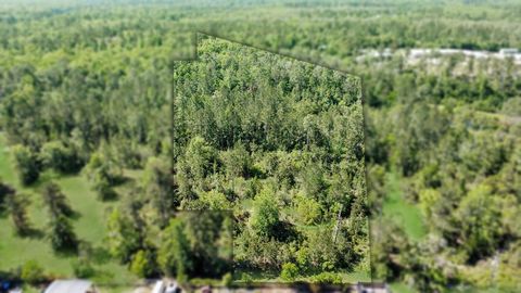 Photo of TBD E River Rd, Wewahitchka, FL 32456 (MLS # 321788)