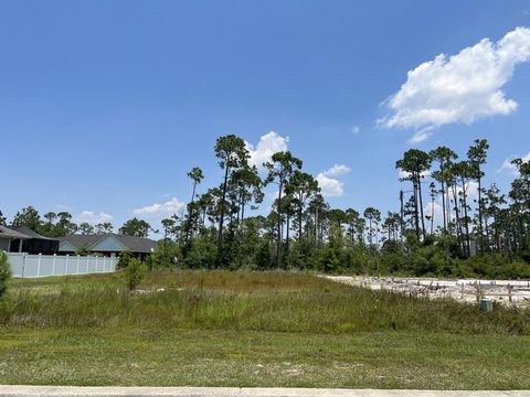 Photo of 119 White Blossom Trl, Port Saint Joe, FL 32456 (MLS # 318567)