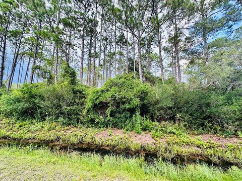 Photo of Lot 68N Peachtree Rd, Apalachicola, FL 32320 (MLS # 322344)
