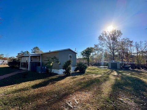 Photo of 180 W Arm Dr, Wewahitchka, FL 32465 (MLS # 324800)