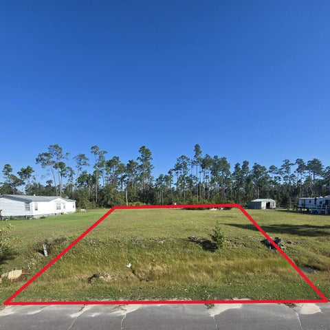 Photo of 275 Spruce Ave, Wewahitchka, FL 32465 (MLS # 329724)