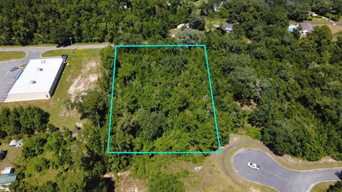 Photo of Lot 1 Land Dr, Wewahitchka, FL 32465 (MLS # 329554)