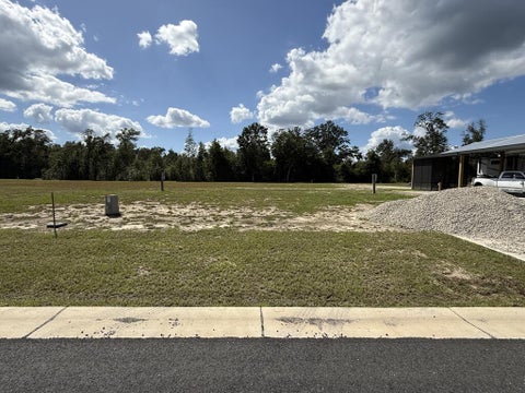 Photo of 187 Kiera Ct, Wewahitchka, FL 32465 (MLS # 329555)