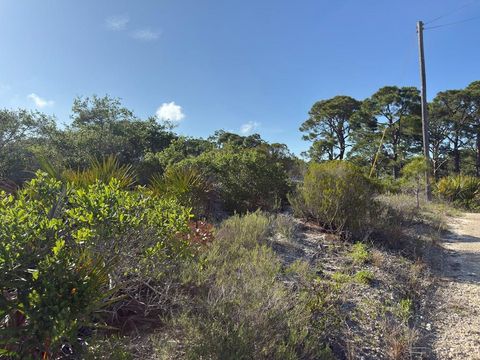 Photo of 105 Sand Trace Dr, Cape San Blas, FL 32456 (MLS # 328318)