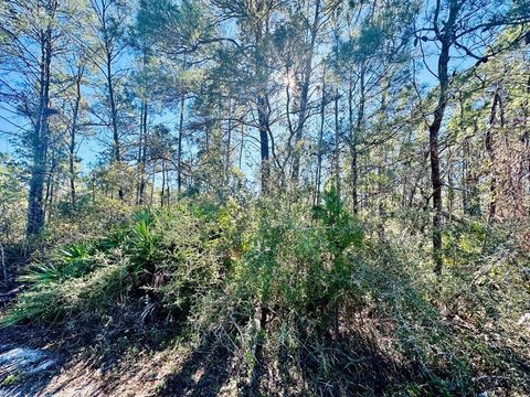 Photo of 264 River Rd, Carrabelle, FL 32322 (MLS # 325155)