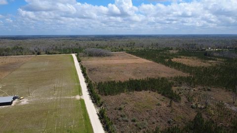 Photo of 40 Davis Peacock Rd, Kinard, FL 32449 (MLS # 328066)