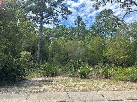 Photo of 152 White Pelican Way, Carrabelle, FL 32322 (MLS # 323946)