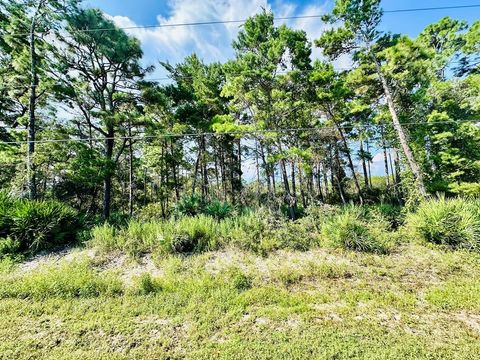 Photo of 271 Twin Lakes Rd, Eastpoint, FL 32328 (MLS # 325156)