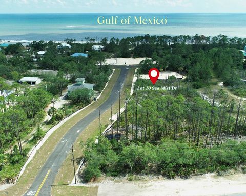 Photo of Lot 10 Sea Mist Dr, Port Saint Joe, FL 32456 (MLS # 320416)