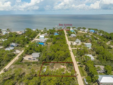 Photo of 308 Brown St, Saint George Island, FL 32328 (MLS # 324010)
