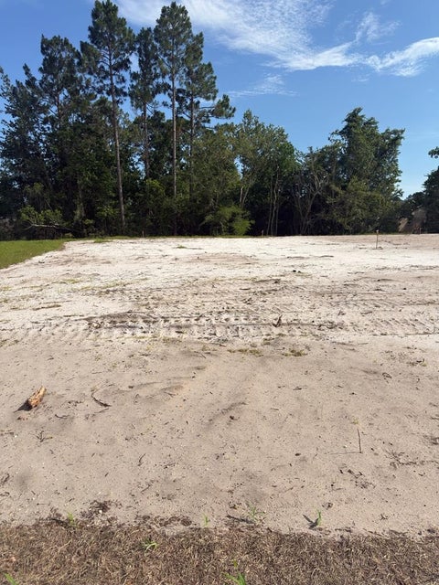 Photo of Lot 12 Pine Branch Ct, Port Saint Joe, FL 32456 (MLS # 328673)