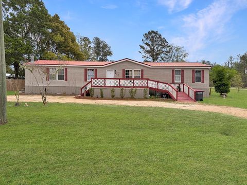 Photo of 234 Sesame St, Wewahitchka, FL 32465 (MLS # 327858)