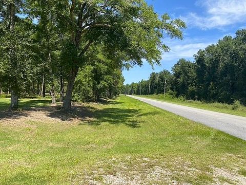 Photo of 4858 Cr 381, Wewahitchka, FL 32465 (MLS # 323912)