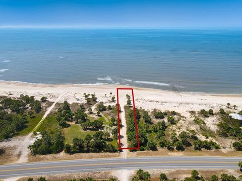 Photo of Parcel A Indian Pass Rd, Port Saint Joe, FL 32456 (MLS # 324003)