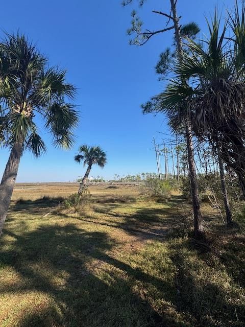 Photo of 1635 Gannet Trl, Saint George Island, FL 32328 (MLS # 321088)