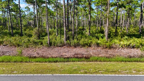 Photo of 265 Twin Lakes Rd, Eastpoint, FL 32328 (MLS # 329596)