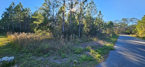 Photo of 915 NE 6th St, Carrabelle, FL 32322 (MLS # 320197)