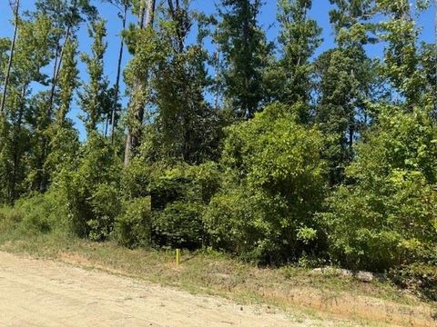 Photo of Lot 1-3 Johnson St, Wewahitchka, FL 32465 (MLS # 324882)