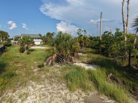 Photo of 6267 Americus Ave, Port Saint Joe, FL 32456 (MLS # 329572)