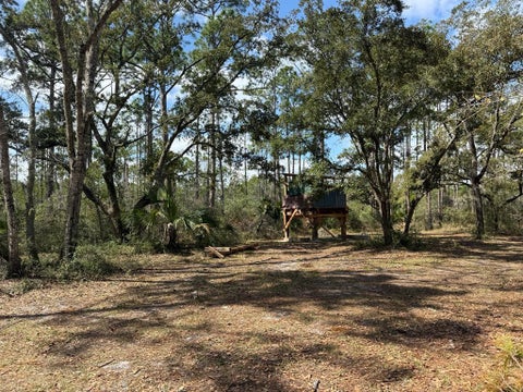 Photo of 1073 Sr 65, Eastpoint, FL 32328 (MLS # 329375)