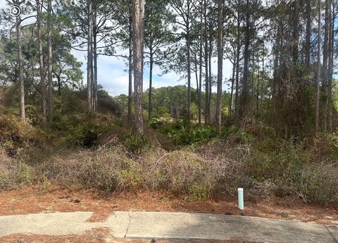 Photo of 130 Spoonbill Ct, Carrabelle, FL 32322 (MLS # 321202)