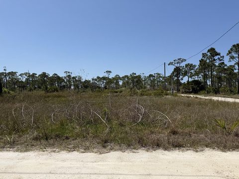 Photo of 332 Blue Heron Dr, Port Saint Joe, FL 32456 (MLS # 328198)