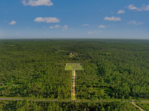 Photo of 10320 Cowels Rd, Fountain, FL 32438 (MLS # 323898)