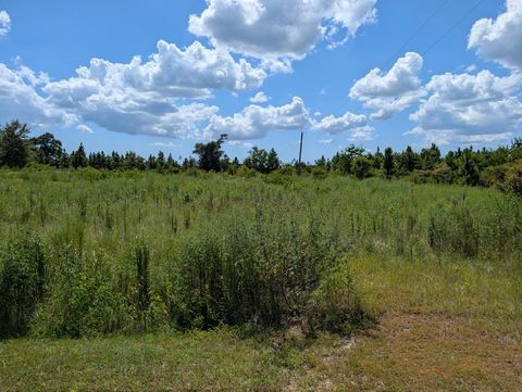 Photo of 111 Goldenrod Ln, Wewahitchka, FL 32465 (MLS # 323964)