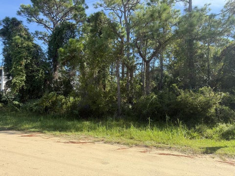 Photo of 319 Bradford St, Saint George Island, FL 32328 (MLS # 329540)