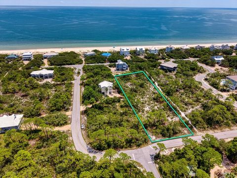 Photo of 1600 Forsythia Ct, Saint George Island, FL 32328 (MLS # 322632)
