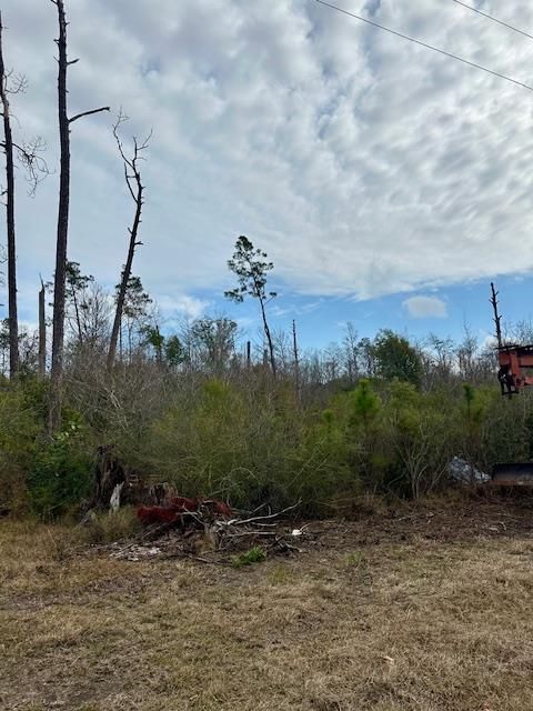 Photo of Lot 2 Pine St, Kinard, FL 32449 (MLS # 323875)