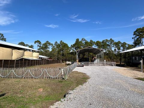 Photo of 161 Dancing Moon Ln, Port Saint Joe, FL 32456 (MLS # 320424)