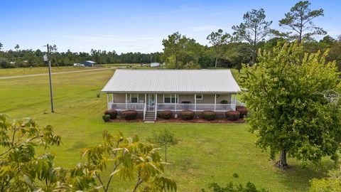 Photo of 821 Mace Martin Rd, Wewahitchka, FL 32465 (MLS # 324201)
