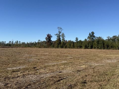 Photo of Lot 1 Hwy 71, Wewahitchka, FL 32465 (MLS # 324084)
