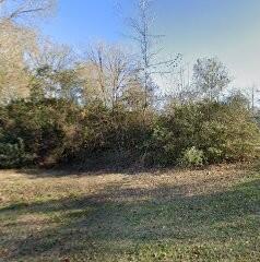 Photo of 410 Our Town Rd, Wewahitchka, FL 32465 (MLS # 329783)