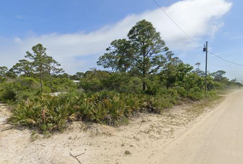 Photo of 708 W Pine St, Saint George Island, FL 32328 (MLS # 323909)
