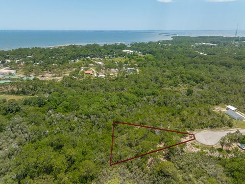 Photo of 349 Blue Heron Dr, Eastpoint, FL 32328 (MLS # 322397)