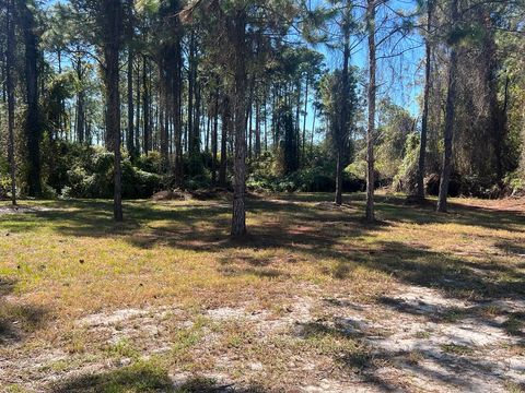 Photo of 711 NE Ave H, Carrabelle, FL 32322 (MLS # 324453)