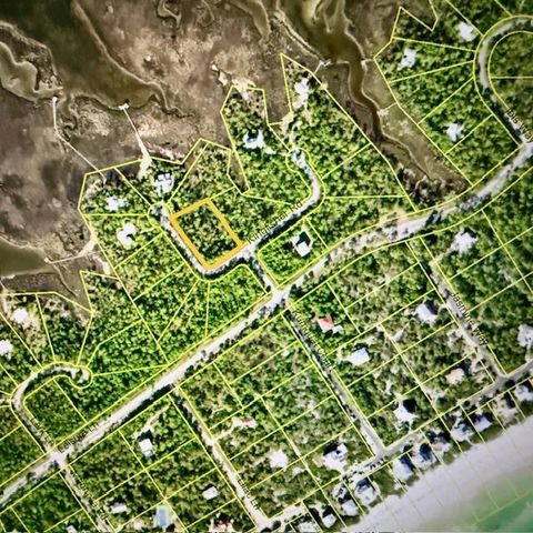 Photo of 1735 Kingfisher Rd, Saint George Island, FL 32328 (MLS # 324980)