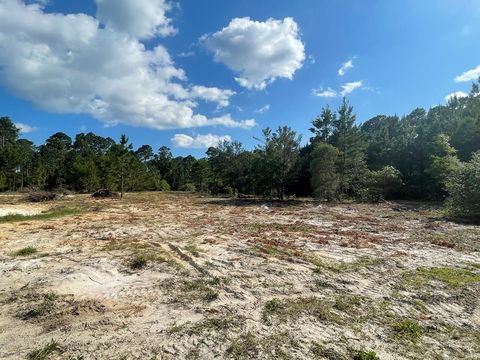 Photo of 1101 NE Ave I, Carrabelle, FL 32322 (MLS # 324790)