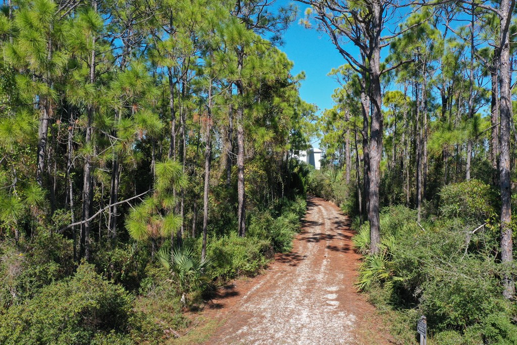 St. George Island, Florida, 32328, United States, 4 Bedrooms Bedrooms, ,4 BathroomsBathrooms,Residential,Active,2013132