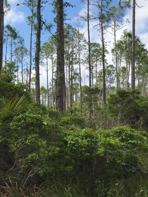 Photo of 1073 Sr 65, Eastpoint, FL 32328 (MLS # 321291)