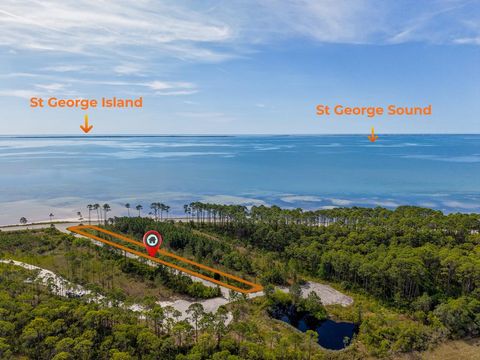 Photo of 1495 Hwy 98, Eastpoint, FL 32328 (MLS # 327912)