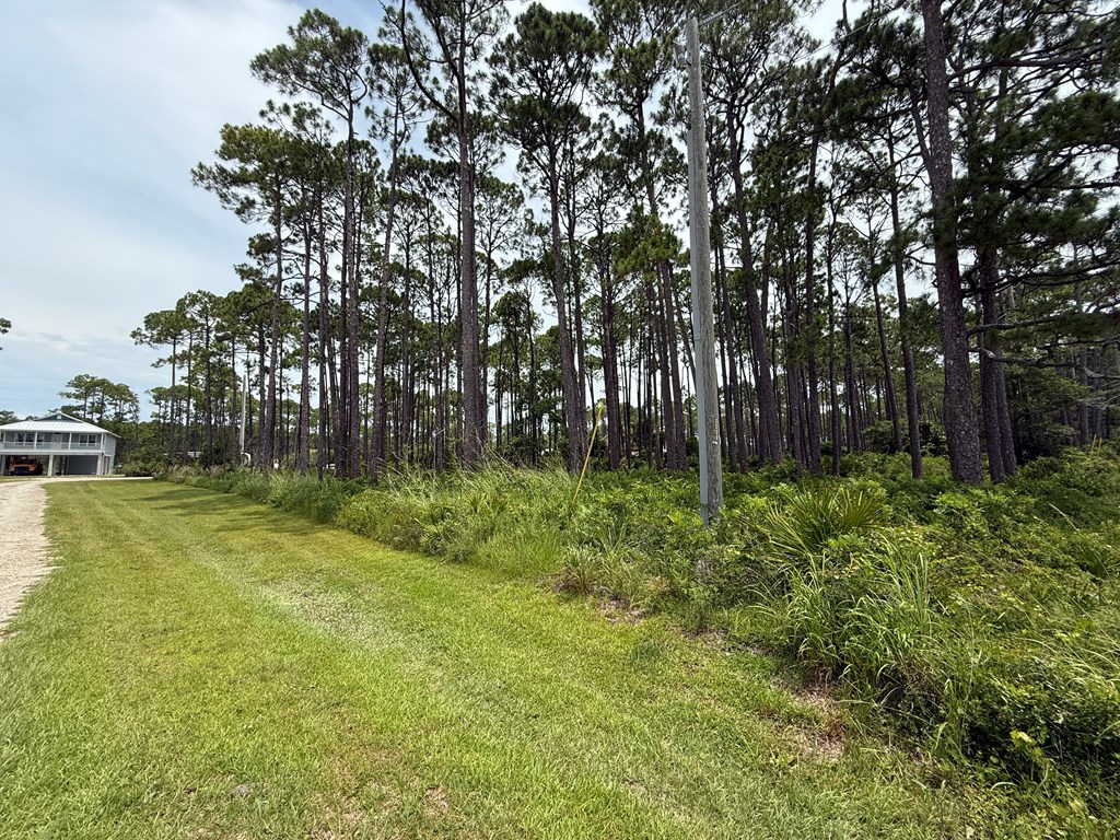 Eastpoint, Florida 32328, United States, ,Land,Active,160204