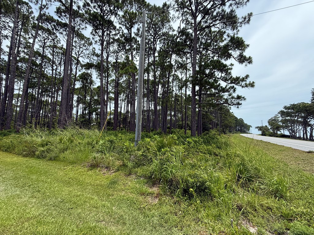 Eastpoint, Florida 32328, United States, ,Land,Active,160204