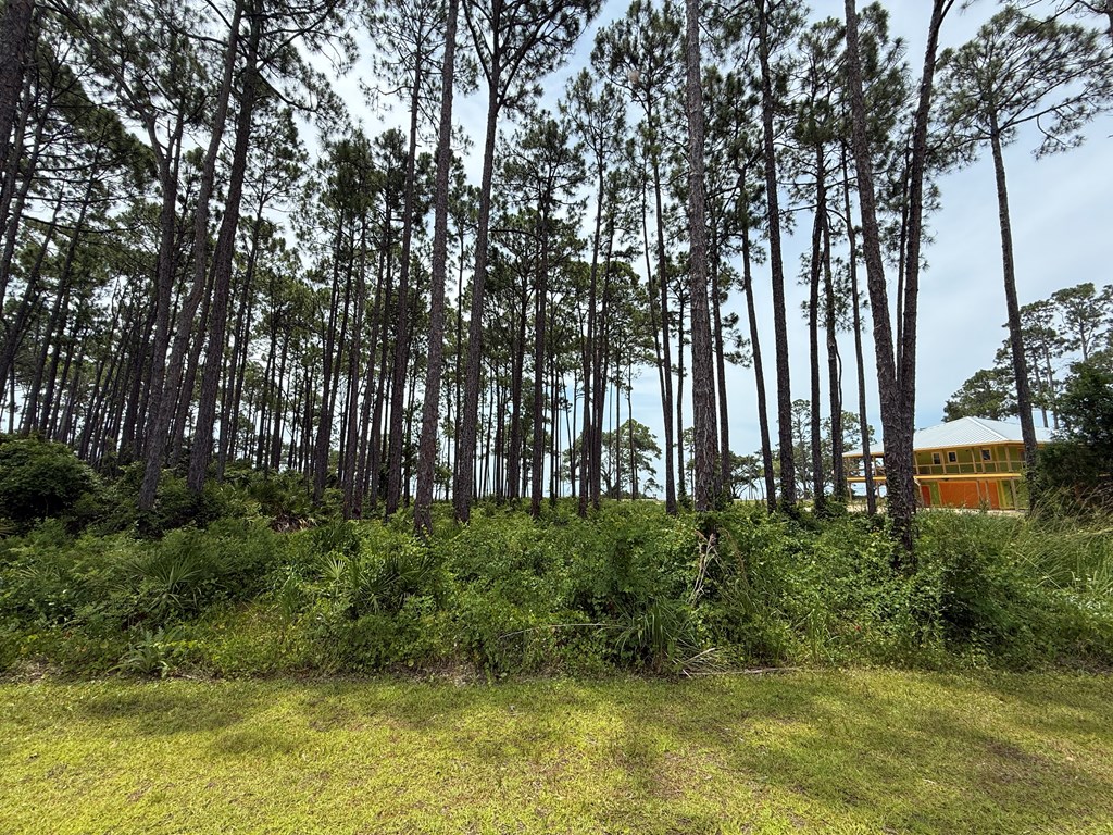 Eastpoint, Florida 32328, United States, ,Land,Active,160204