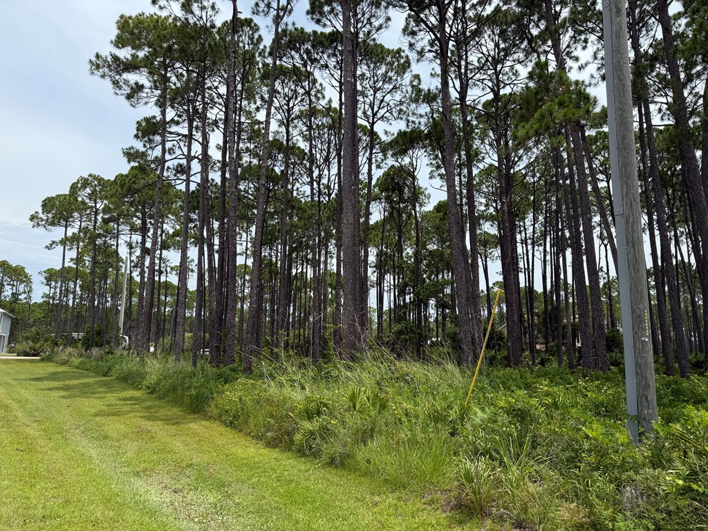 Eastpoint, Florida 32328, United States, ,Land,Active,160204