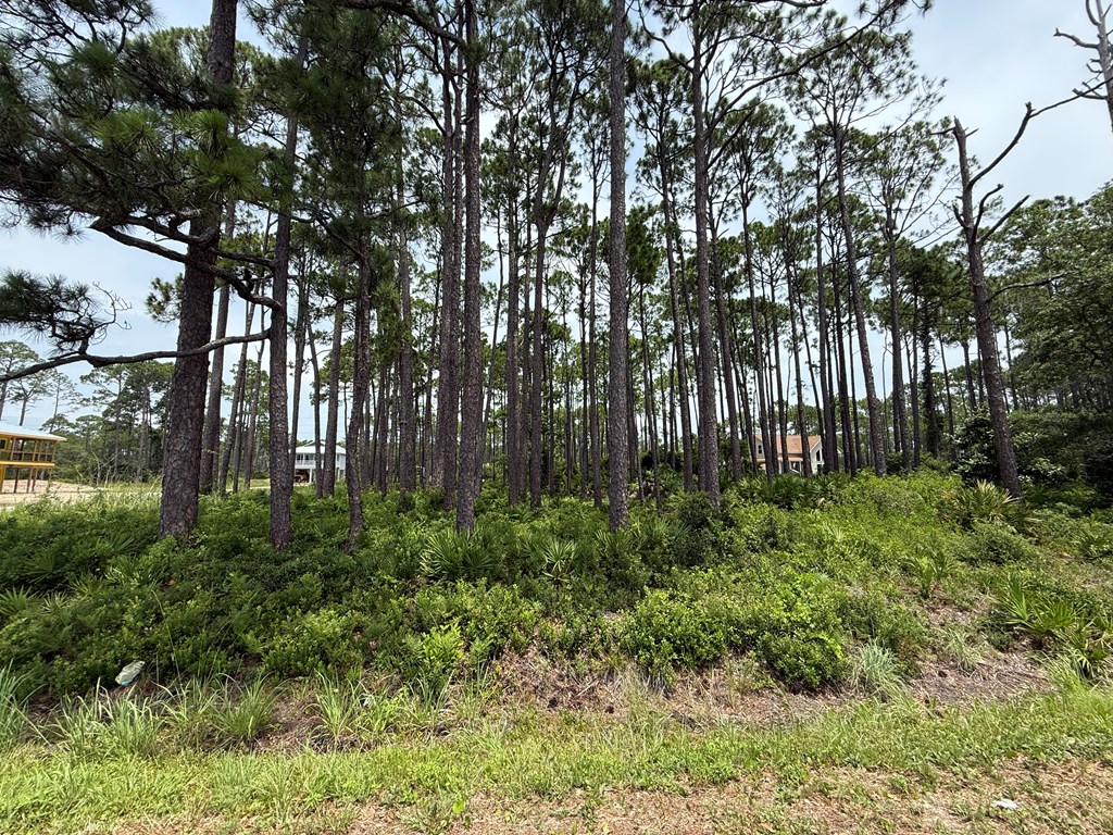 Eastpoint, Florida 32328, United States, ,Land,Active,160204