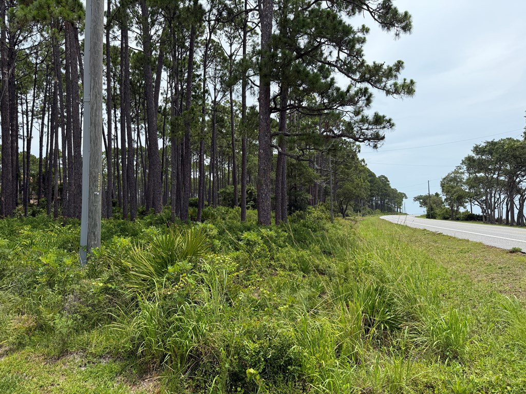 Eastpoint, Florida 32328, United States, ,Land,Active,160204